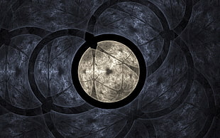 Circles,  Form,  Light,  Gray