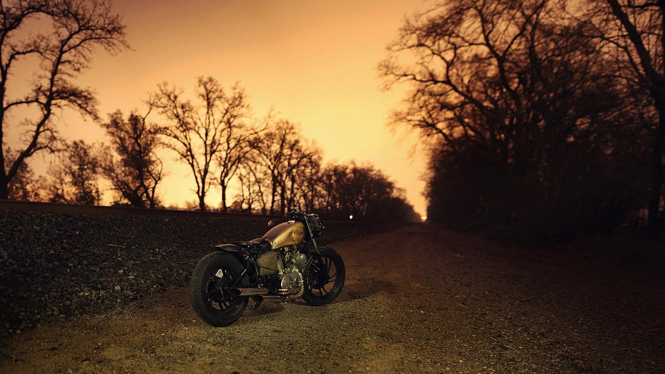 silver cruiser motorcycle, Bobber, motorcycle, Harley Davidson HD wallpaper