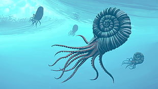 brown sea mollusk, Simon Stålenhag, creature, seashell, underwater