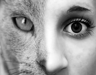 half human and cat face in grayscale photo