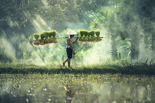 man wearing rice hat carrying grass
