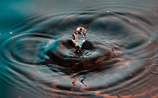 photo of water drop during daytime HD wallpaper