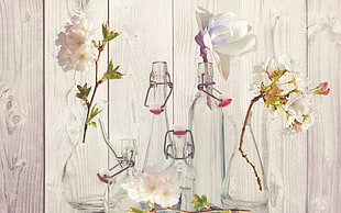 six clear glass airtight bottle with flowers HD wallpaper