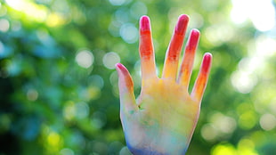 left human palm, colorful, hands HD wallpaper
