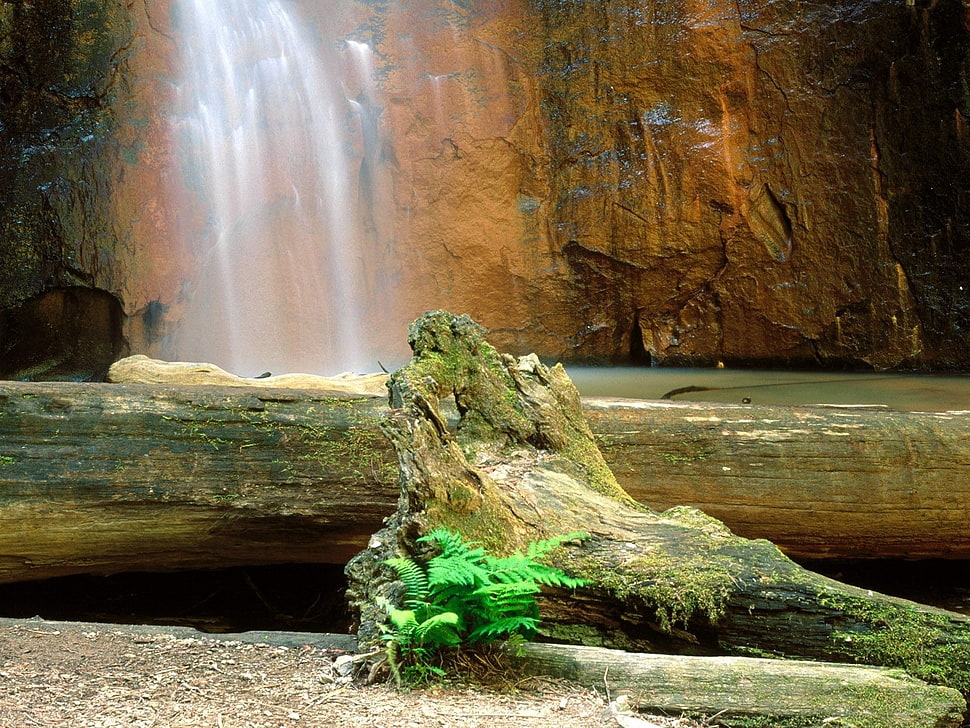 waterfall and gray stone formation HD wallpaper