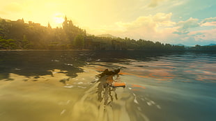 body of water with trees, The Witcher 3: Wild Hunt, blood and wine, Geralt of Rivia