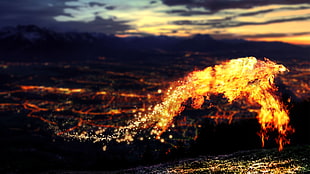 timelapse photograpy of fire