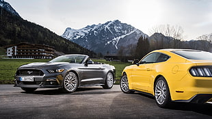gray Ford Mustang convertible and yellow Ford Mustang muscle cars