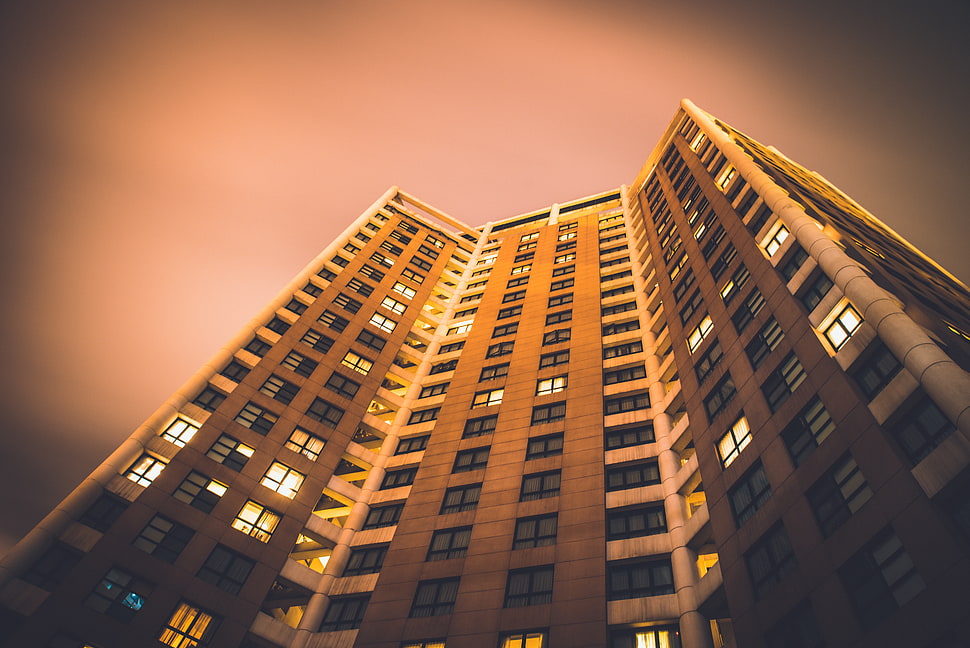 brown painted building, Building, Facade, Bottom view HD wallpaper