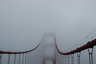brown footbridge, bridge, mist, Golden Gate Bridge HD wallpaper