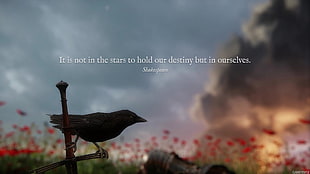 silhouette of bird with text overlay, video games, Kingdom Come: Deliverance, Warhorse Studios