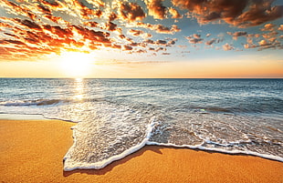 photo of seashore, sea, beach, Sun