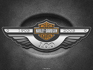 Harley Davidson Motorcycles 1903-2003