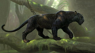 panther walks on tree branch