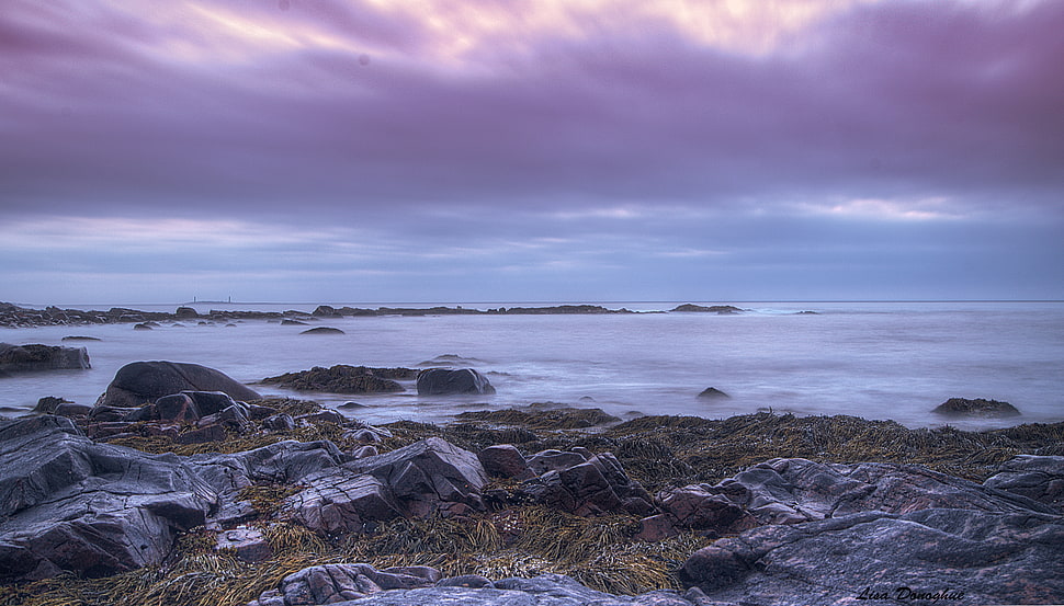 cumulus clouds above sea HD wallpaper