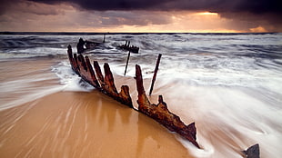 brown driftwood, coast, sea, long exposure, nature HD wallpaper