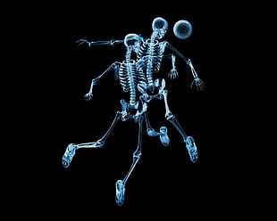 stainless steel skeleton illustration HD wallpaper