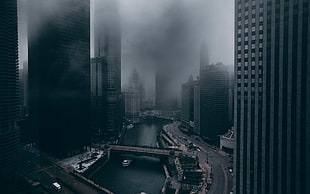 gray high-rise building, city, skyscraper, mist, skyline