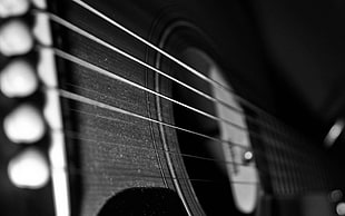 brown guitar, guitar, depth of field, monochrome HD wallpaper