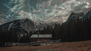 brown and gray cabin, mountains, mountain top, forest, house