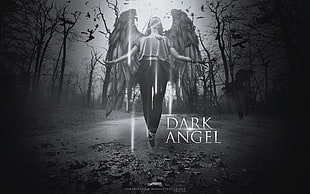 Dark Angel wallpaper, angel, Dark Angel