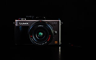 closeup photo of Lumix GX1 camera