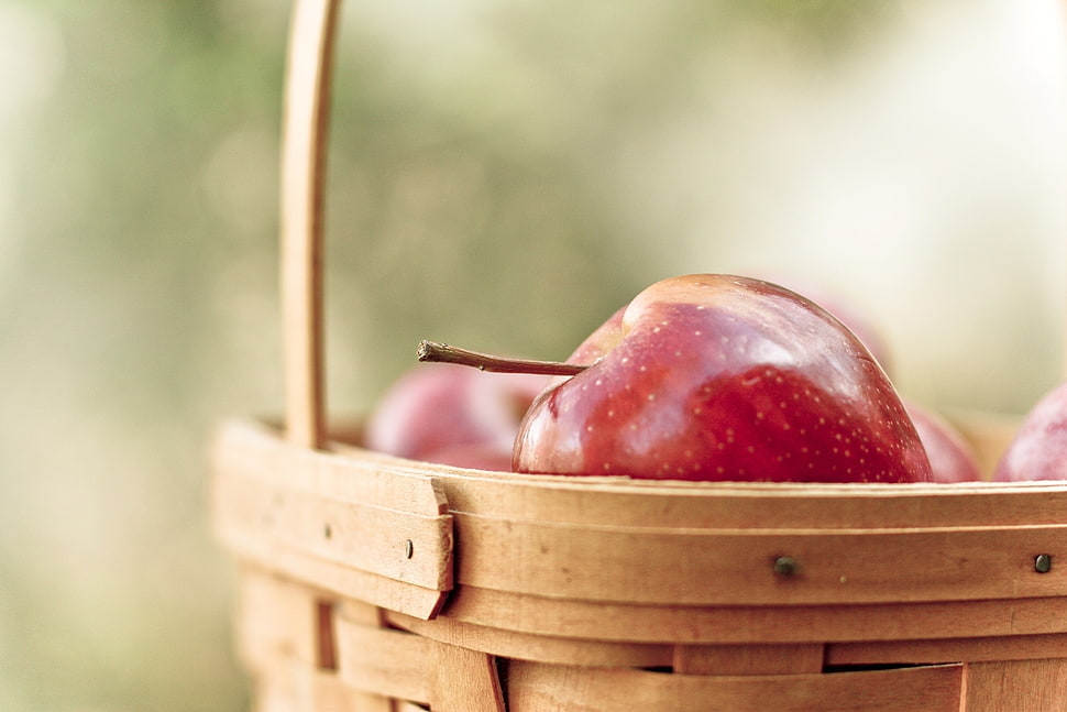 red apple fruit in brown wooden basket HD wallpaper