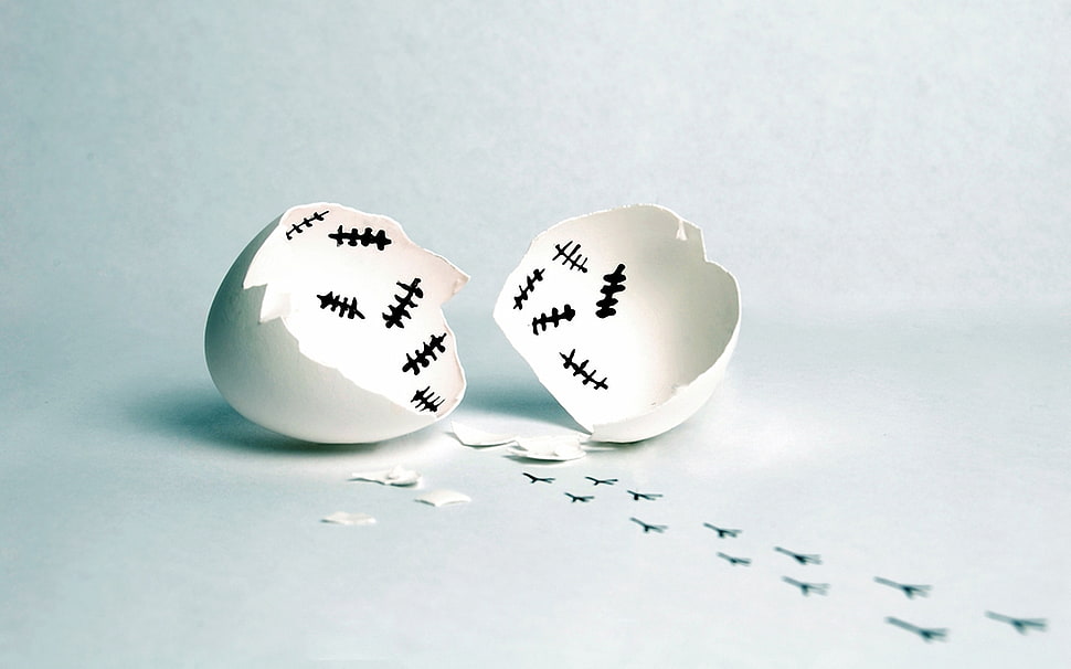 photography of cracked eggshell HD wallpaper