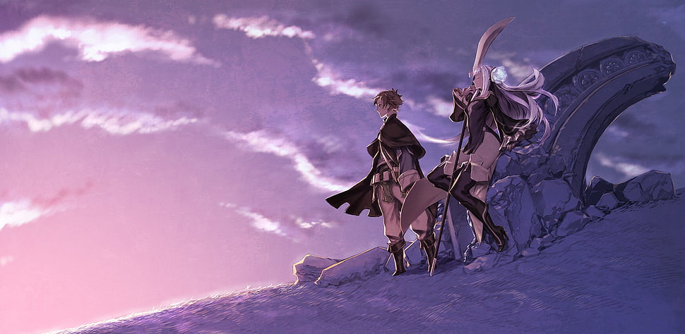 two animated character illustration, anime, Glaive, Bravely Default HD wallpaper