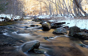 time lapse photography of river in between bear trees covered with snow