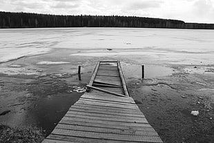 gray scale photo of wooden bridge