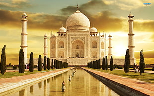Taj Mahal, India HD wallpaper