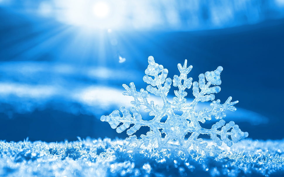 snowflake HD wallpaper