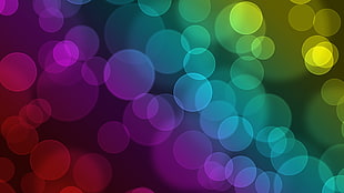 red, purple, blue, green and yellow illustration HD wallpaper