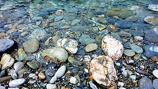 assorted-color stones, Roaring Billy Falls, rock, New Zealand HD wallpaper