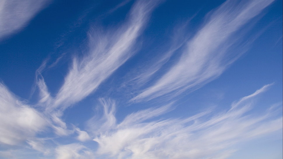 white clouds, clouds HD wallpaper