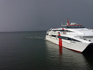 white and red cruise ship on ocean
