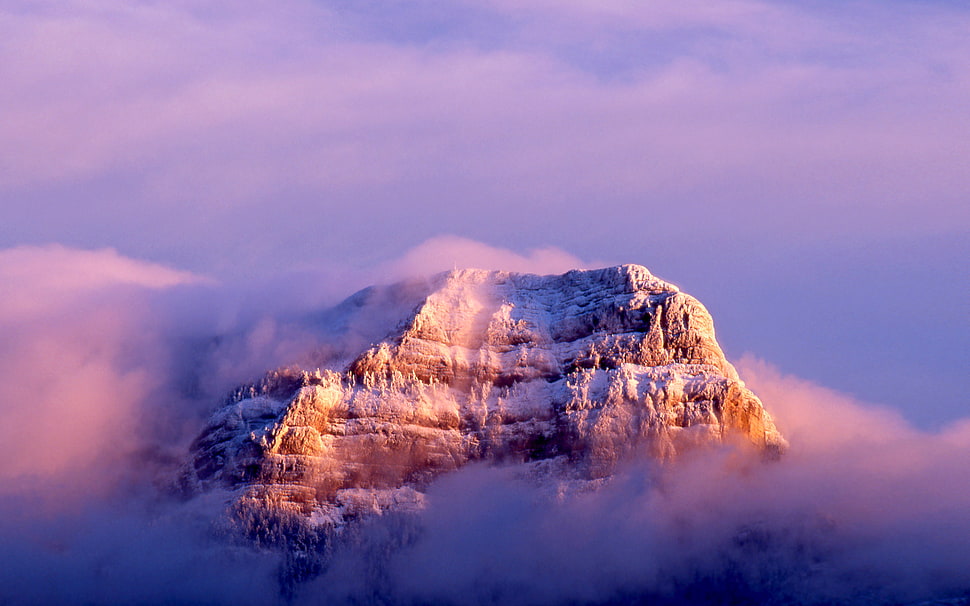 white and brown mountain, leopard HD wallpaper