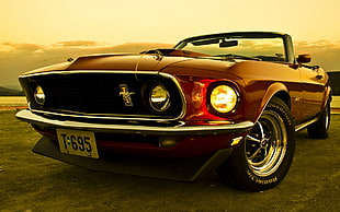red Ford Mustang convertible coupe with T-695 license plate during golden hour