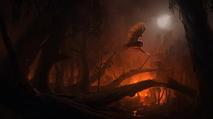 game application digital wallpaper, owl, fire, forest, fantasy art