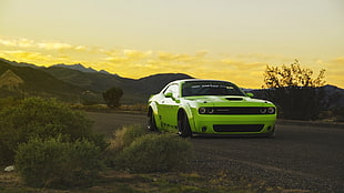 neon-green sports coupe, Dodge Challenger, Dodge, green cars, muscle cars