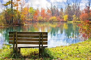 empty brown bench in front calm body of water surrounded by bush tress HD wallpaper