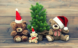 three brown bear plush toys, teddy bears, Christmas, fir HD wallpaper