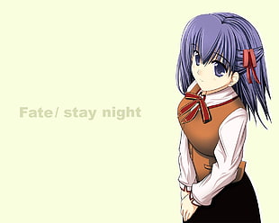 Fate/ Stay Night anime character