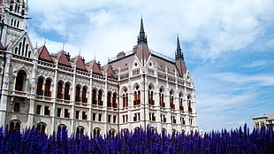 white and red concrete building, Hungarian Parliament Building, Gothic, architecture