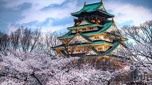 green and brown castle, cherry blossom, Japan, Osaka Castle HD wallpaper
