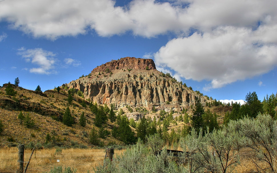 brown and gray mountain photo during daytime HD wallpaper