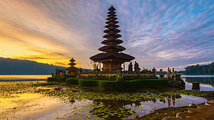 brown and beige pagoda, nature, landscape, architecture, building HD wallpaper