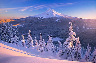 mountain peak, nature, landscape, mountains, snow HD wallpaper