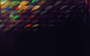 rainbows, black HD wallpaper